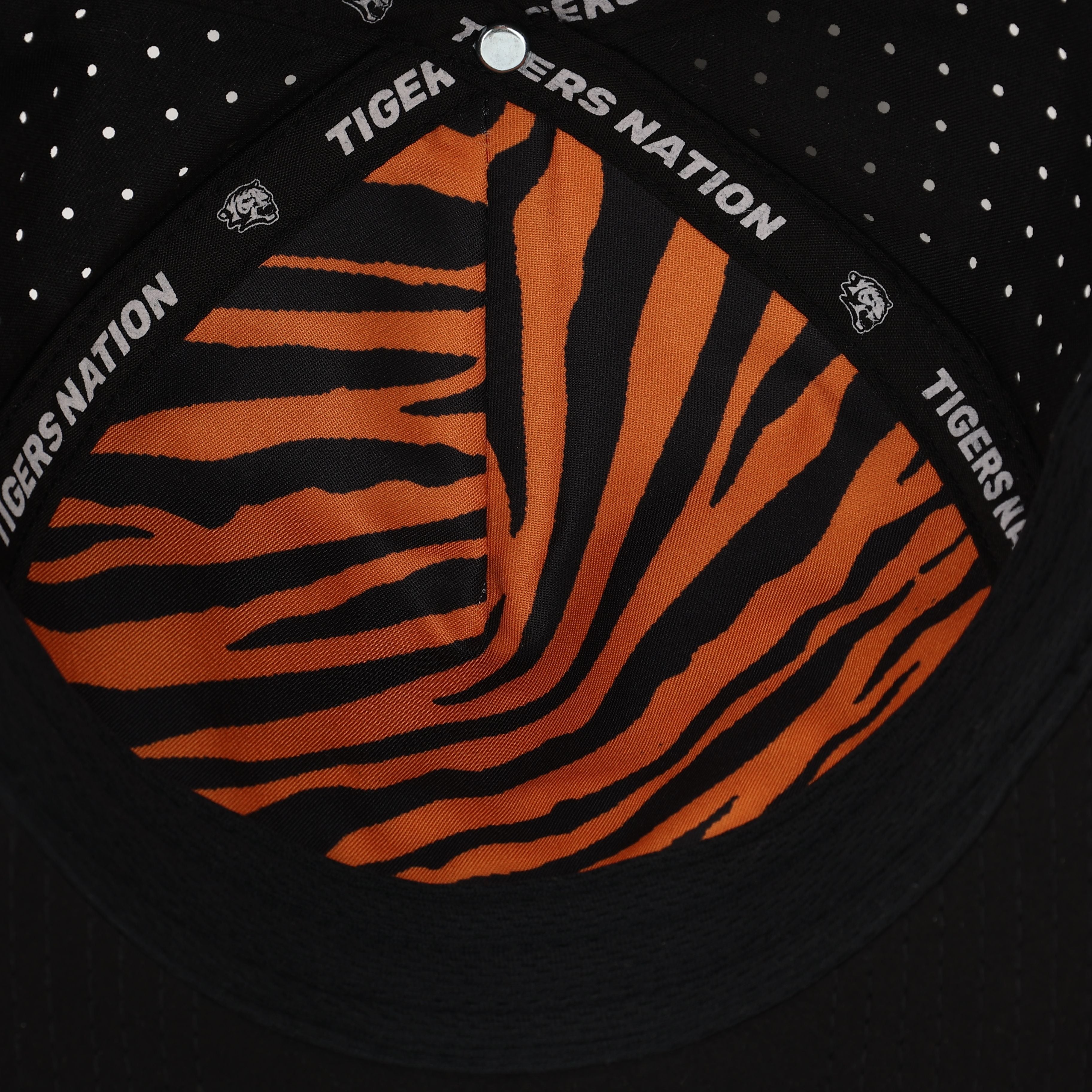 THE TIGER - YOUTH