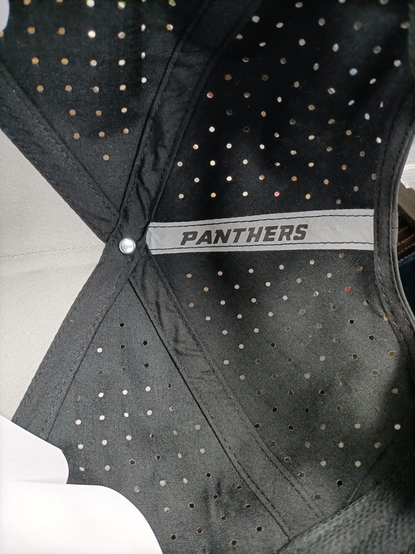 THE PANTHER
